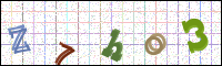 Image Verification