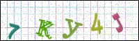 Image Verification