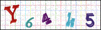 Image Verification