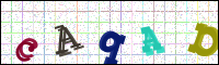 Image Verification