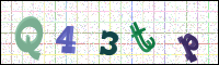 Image Verification