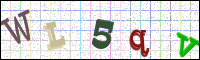 Image Verification