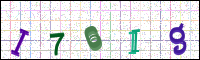 Image Verification