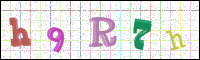 Image Verification