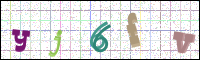 Image Verification