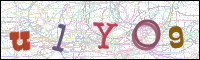 Image Verification