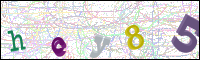 Image Verification