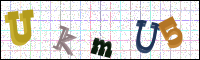 Image Verification