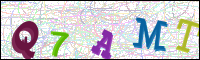Image Verification